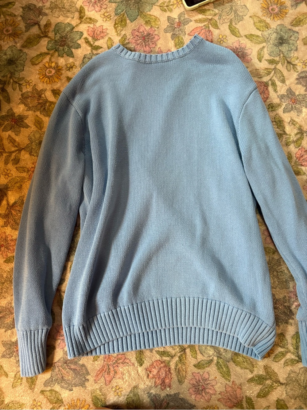 Brandy Melville Powder Blue Crewneck Sweater